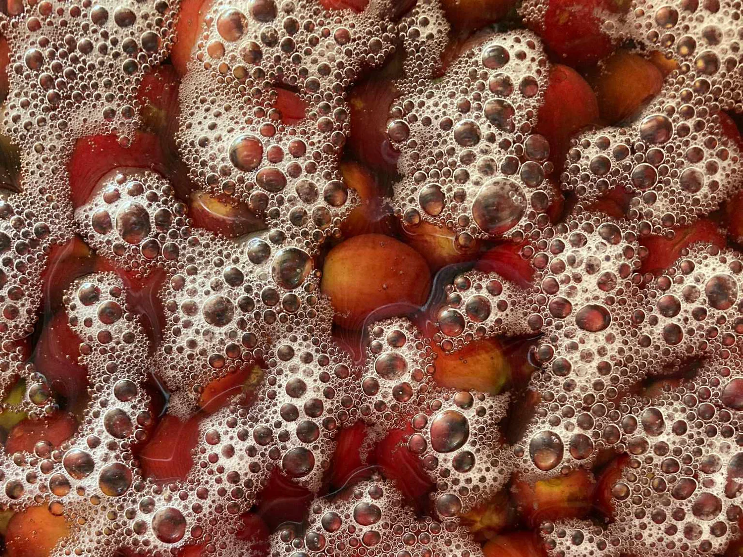 ¿Qué hacemos con un café co-fermentado?
